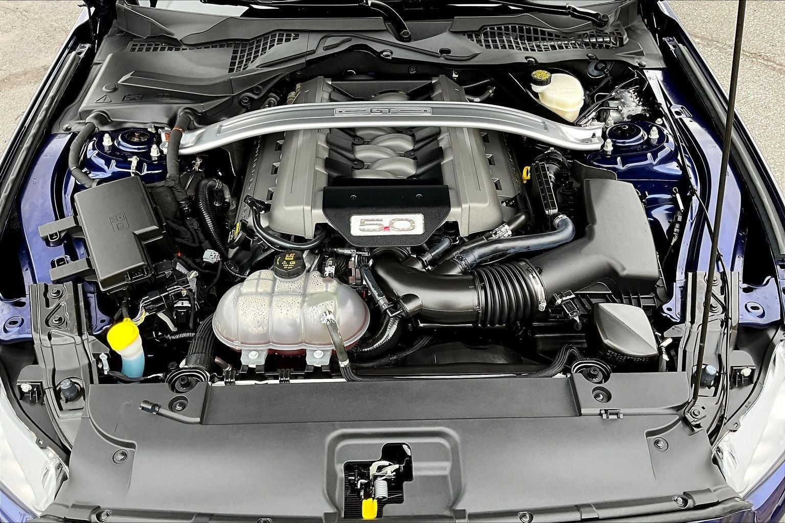 2015 Ford Mustang GT 50 Years Limited Edition