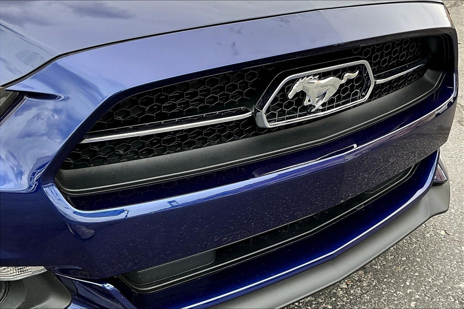 2015 Ford Mustang GT 50 Years Limited Edition