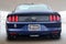 2015 Ford Mustang GT 50 Years Limited Edition