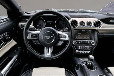 2015 Ford Mustang GT 50 Years Limited Edition