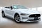 2023 Ford Mustang EcoBoost