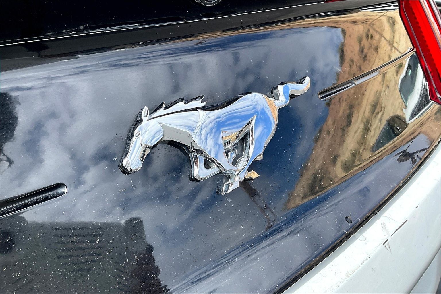 2023 Ford Mustang EcoBoost
