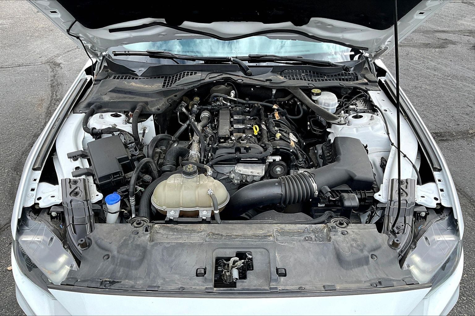 2023 Ford Mustang EcoBoost