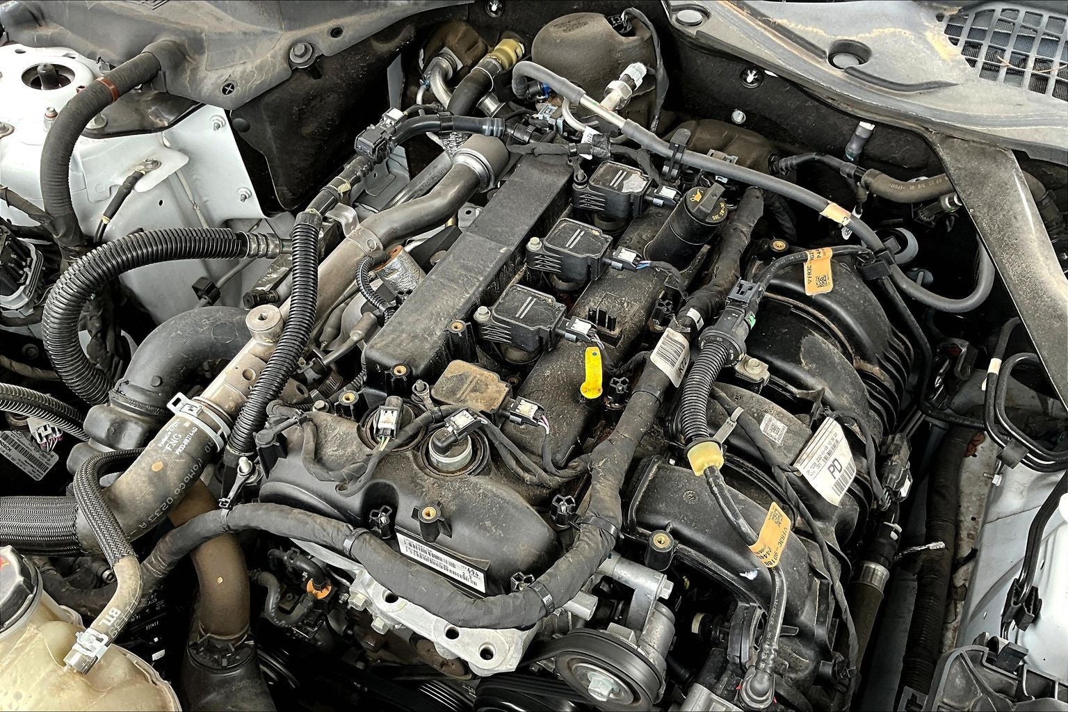 2023 Ford Mustang EcoBoost