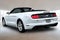 2023 Ford Mustang EcoBoost