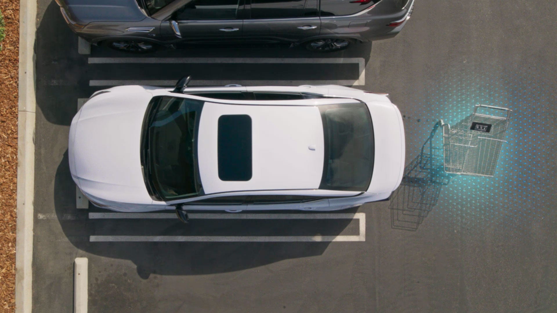 2026 Nissan Altima | Animas Nissan in Farmington, NM